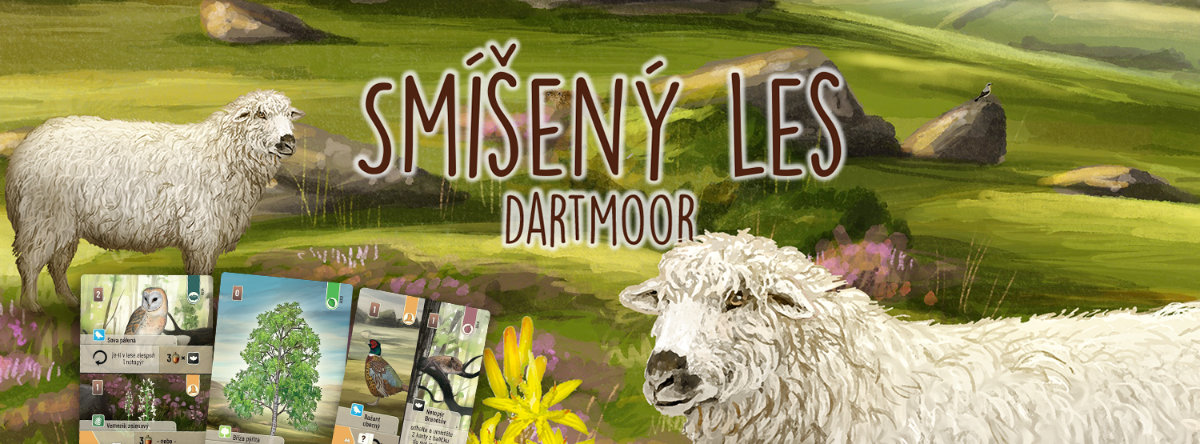 Smíšený les
